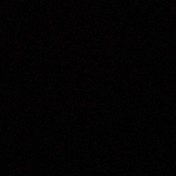 Meet your Posher, Piper - Picture 1 of 1